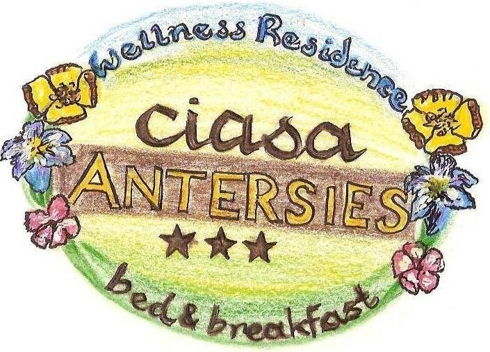 Family And Wellness Residence Ciasa Antersies San Cassiano  Exterior photo